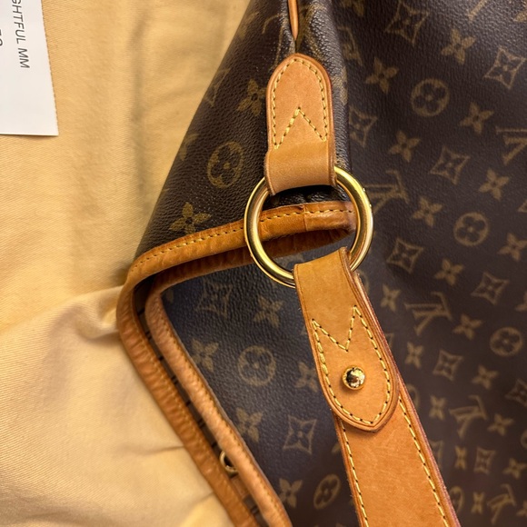 Delightful Louis Vuitton - Picture 9 of 12